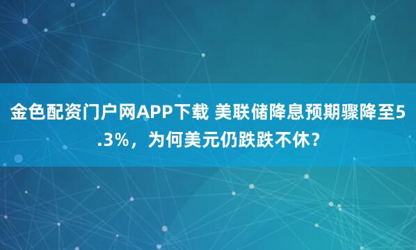 金色配资门户网APP下载 美联储降息预期骤降至5.3%，为何美元仍跌跌不休？