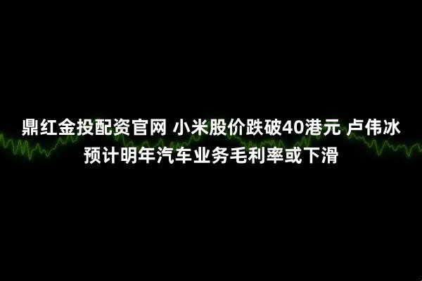 鼎红金投配资官网 小米股价跌破40港元 卢伟冰预计明年汽车业务毛利率或下滑