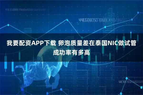 我要配资APP下载 卵泡质量差在泰国NIC做试管成功率有多高