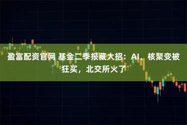 盈富配资官网 基金二季报藏大招：AI、核聚变被狂买，北交所火了