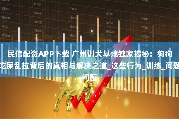 民信配资APP下载 广州训犬基地独家揭秘：狗狗吃屎乱拉背后的真相与解决之道_这些行为_训练_问题