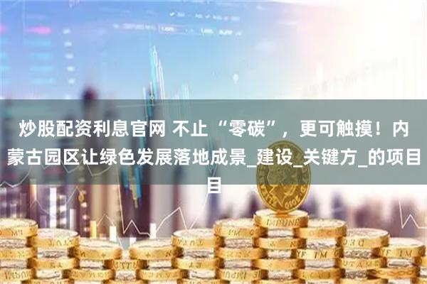 炒股配资利息官网 不止 “零碳”，更可触摸！内蒙古园区让绿色发展落地成景_建设_关键方_的项目